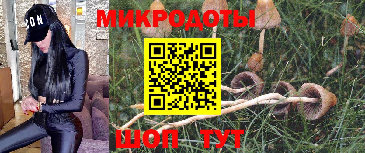 Галлюциногенные грибы Psilocybe Ревда